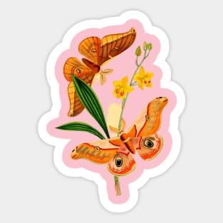 Butterflies and Flowers Sticker